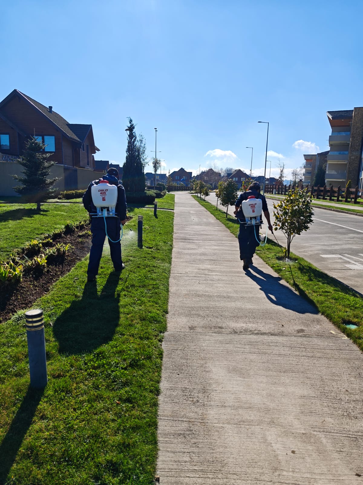 Fumigación fitosanitaria certificada en condominio residencial Temuco