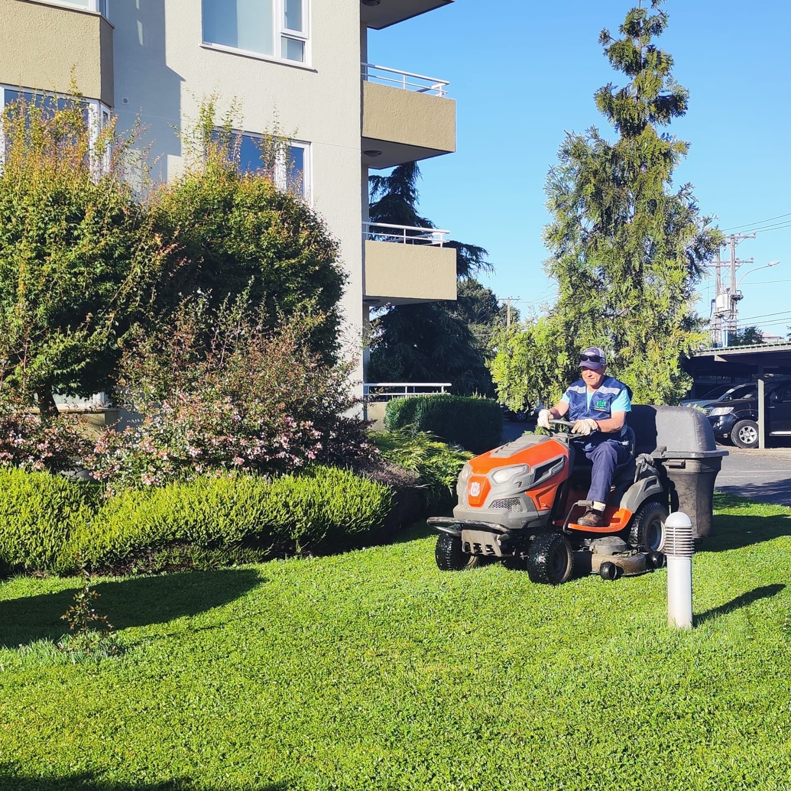 Jardín impecable y paisajismo premium en Temuco - Doña Jacinta SpA