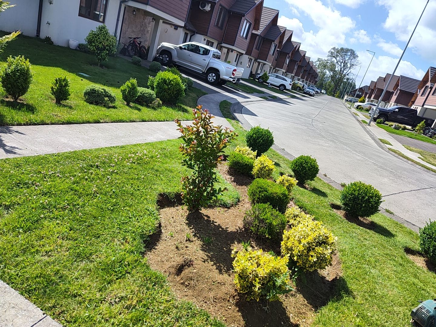 Vista panorámica de jardines frontales con topiarios y arbustos dorados en condominio