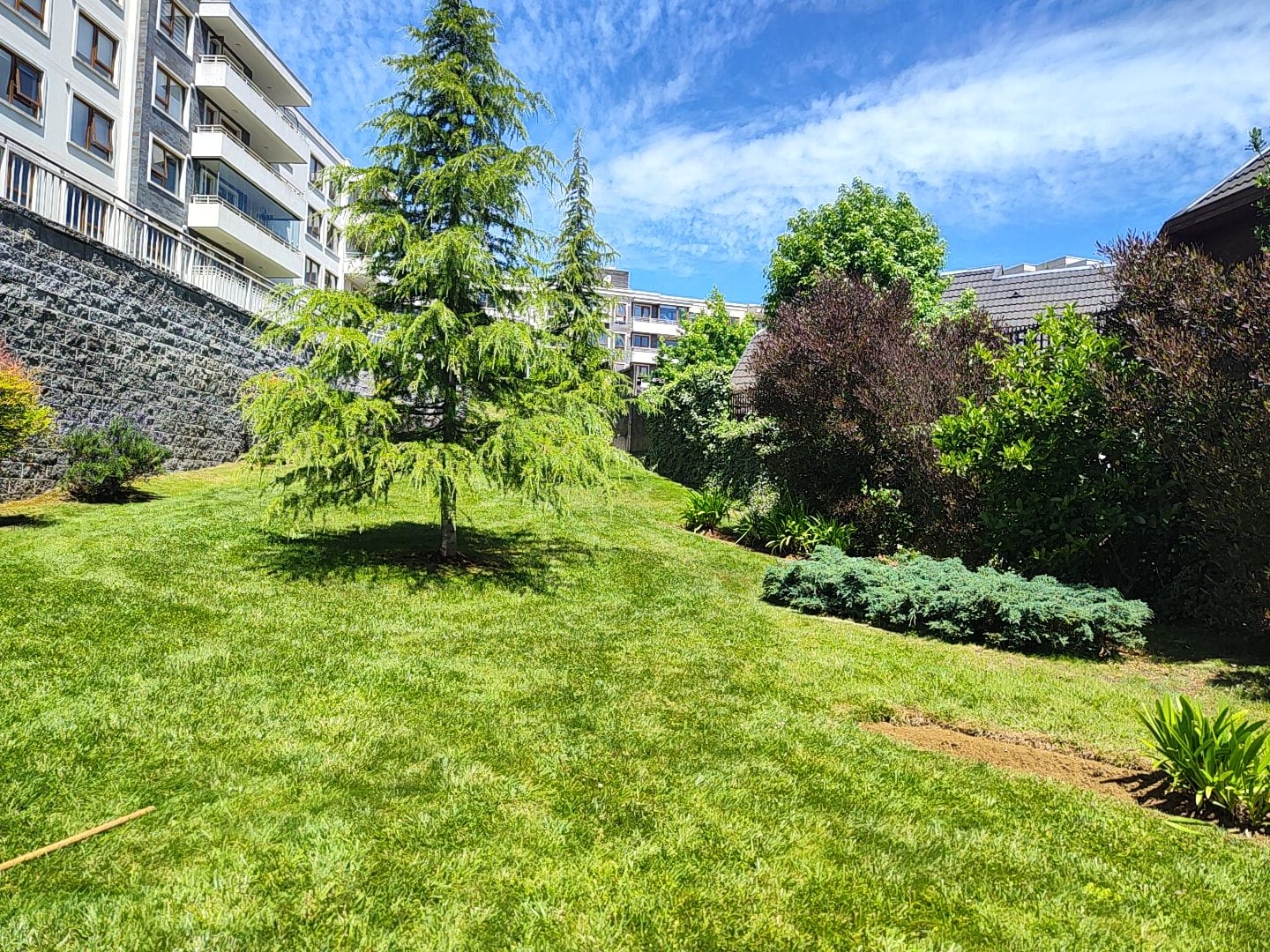 Amplio parque residencial con coníferas majestuosas, muro de piedra y lomaje de césped
