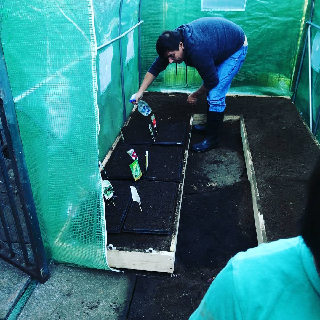 Servicio fitosanitario certificado Doña Jacinta SpA Temuco