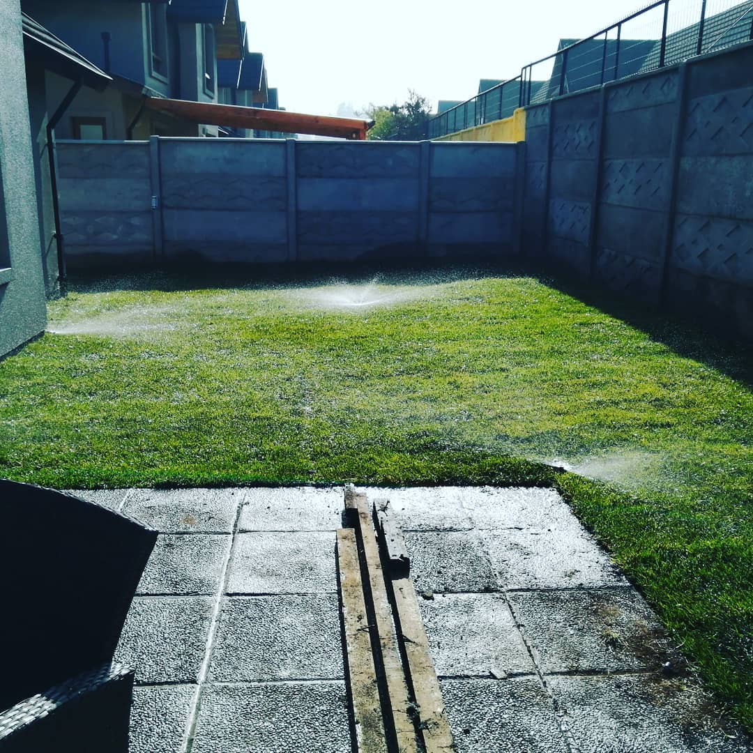 Orillado y cuidado intensivo de césped Temuco