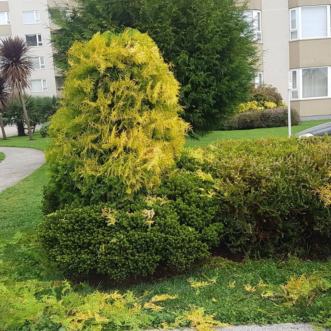 Sistema de riego automatizado instalación Temuco