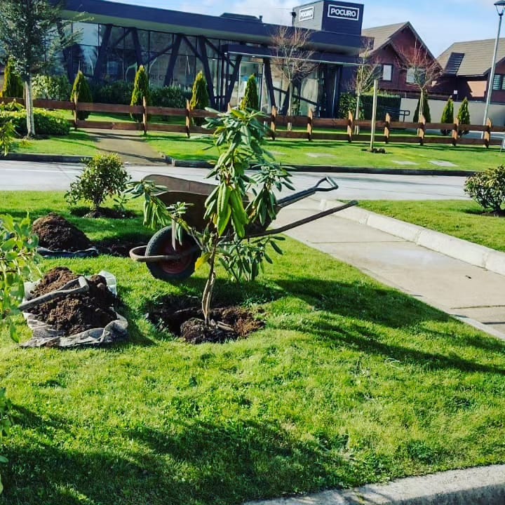 Artículos de jardinería a domicilio Temuco Doña Jacinta SpA